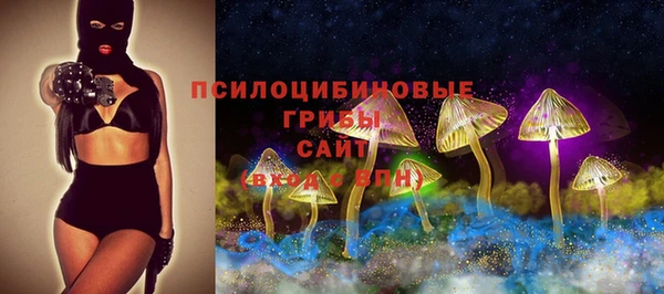 прущий лед Алексин