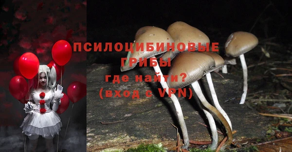 соль курить ск Алексеевка