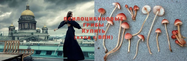 ешки Алзамай