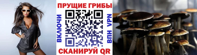 Галлюциногенные грибы мухоморы  Олонец 
