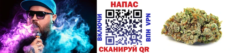 купить  сайты  Олонец  Каннабис THC 21% 